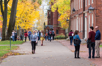 手机号狂轰滥炸软件